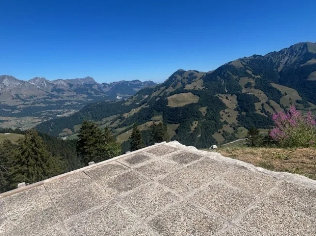 Zu verkaufen, Chalet, 1658 Rossinière, Ref Tsamufins – Foto 19 von 20