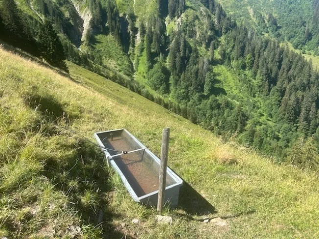 Zu verkaufen, Chalet, 1658 Rossinière, Ref Tsamufins – Foto 14 von 20