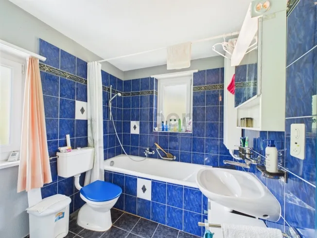 5.5 Zimmer Einfamilienhaus in Safien Platz – Foto 11 von 13