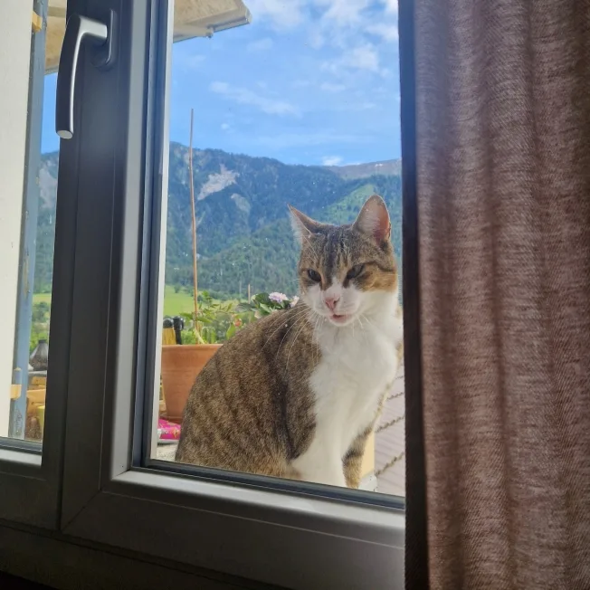 3.5 Zimmer Wohnung in Felsberg – Foto 4 von 7