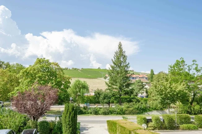 In esclusiva - Affascinante e spaziosa villa familiare a Lully – foto 23 di 23