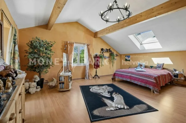 Unique 7.5-room single-family house with living quality & large plot – photo 9 of 12