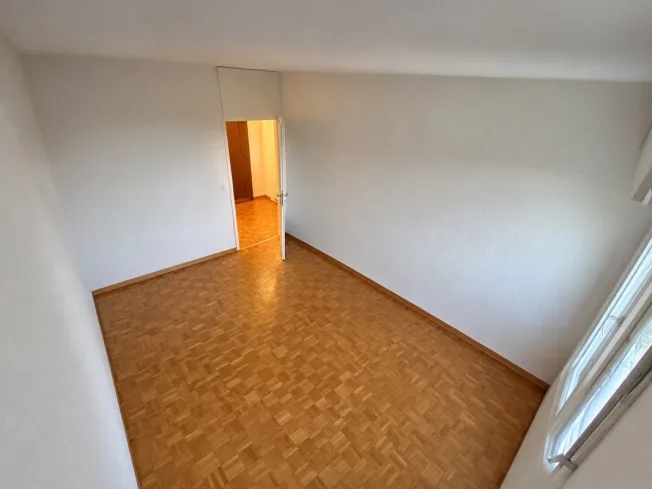 4 Zimmer Wohnung in Carouge GE – Foto 4 von 8