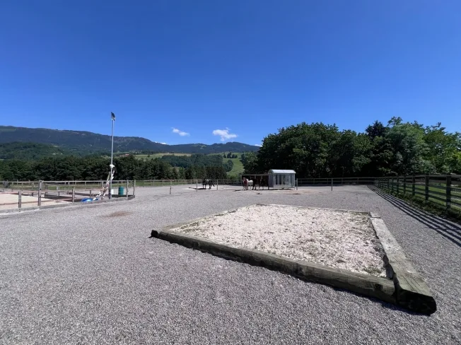 5.5 Zimmer Bauernhaus in Pont-la-Ville – foto 9 di 16