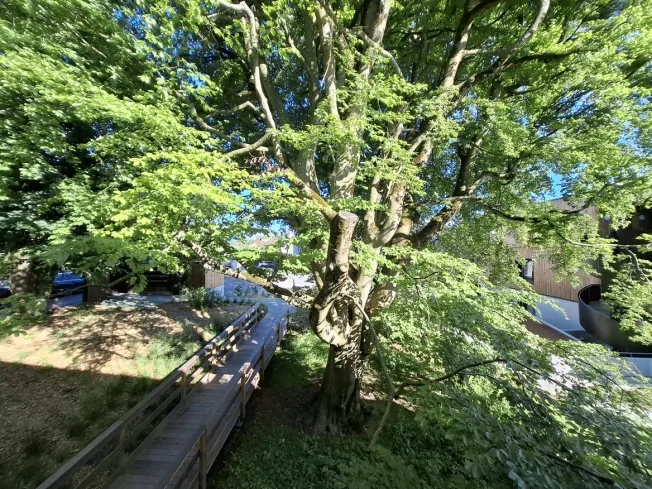 4.5 Zimmer Wohnung in Lausanne – photo 11 sur 13
