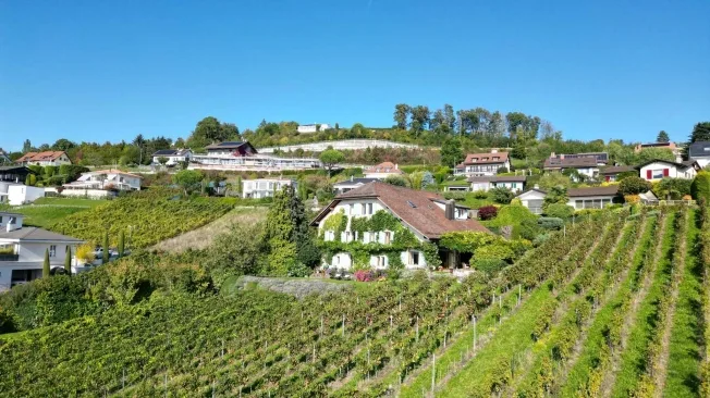 10.5 Zimmer Villa in Lutry – photo 12 sur 13