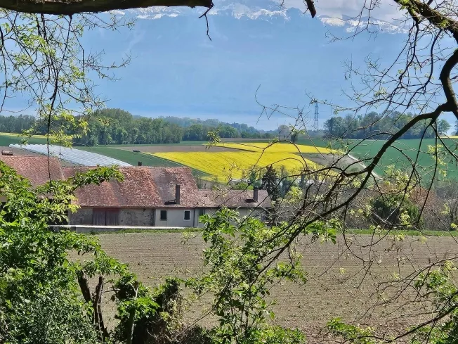 6.5 Zimmer Villa in Vullierens – photo 7 sur 13