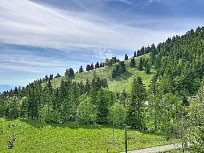 5.5 Zimmer Villa in Montreux – foto 10 di 13
