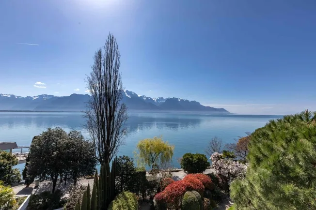 24 Zimmer Einfamilienhaus in Montreux – foto 3 di 13