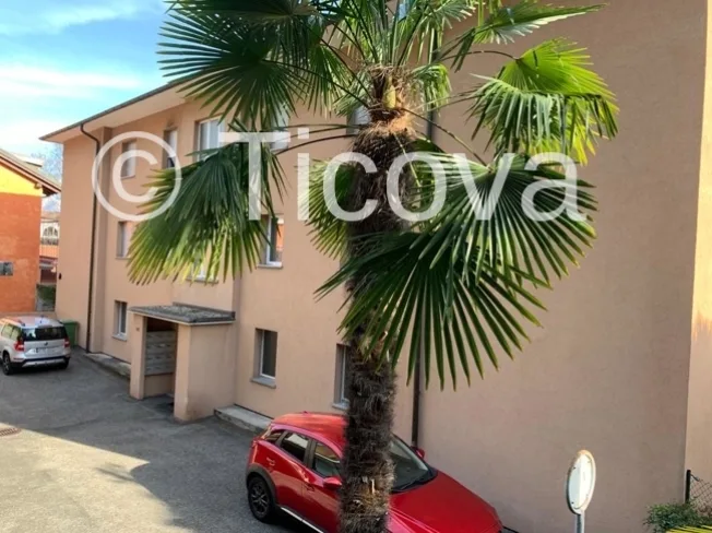 1.5 Zimmer Wohnung in Muralto – foto 3 di 10