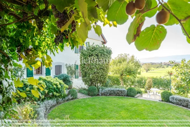 9.5 Zimmer Einfamilienhaus in Mex VD – photo 16 of 17