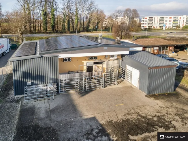 Wohnung in Estavayer-le-Lac – Foto 3 von 10