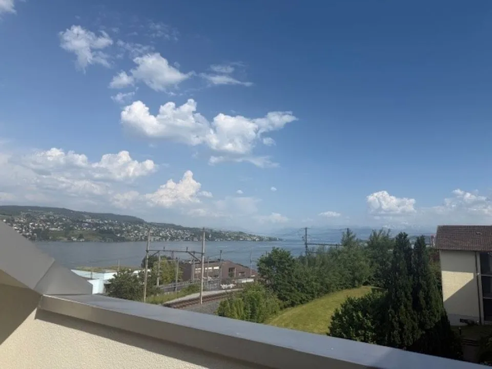 Letzte Attika-Wohnung zu vermieten! – Foto 7 von 11