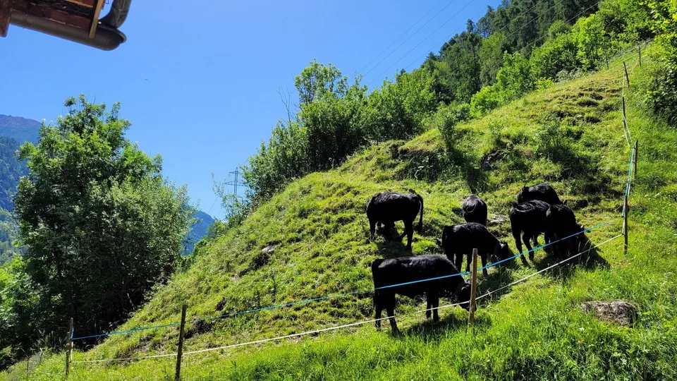4 Z`Altbauwohnung im Herzen vom Wallis Ehringertal 2.OG bei Evolene – Foto 8 von 12