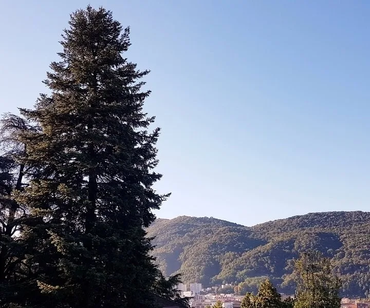 1½ ZI-WOHNUNG IN VACALLO (TI), MÖBLIERT – foto 6 di 20