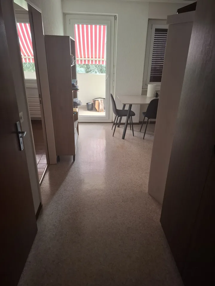 appartement 1.5 pièces à louer bon marché