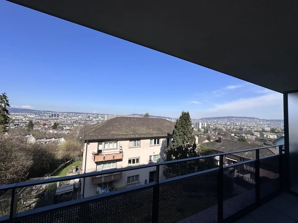 Zürichblick – foto 8 di 9