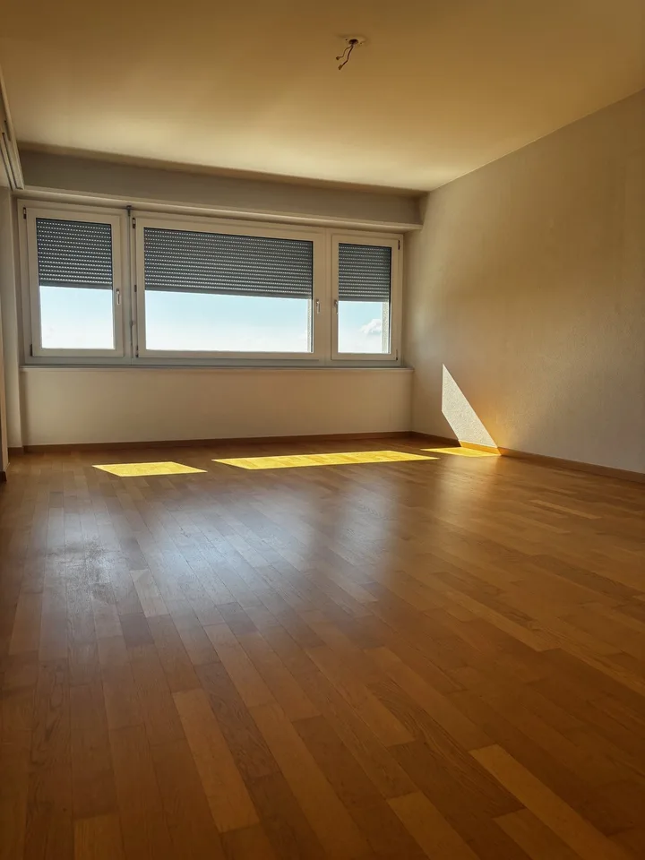 3.5-Zimmer-Attikawohnung mit Panoramablick in Biel – foto 6 di 20