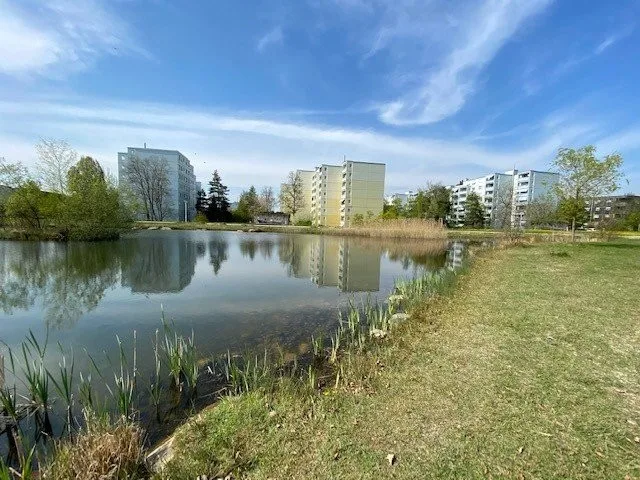 5½ ZI-WOHNUNG IN VOLKETSWIL (ZH), MÖBLIERT – photo 9 of 20