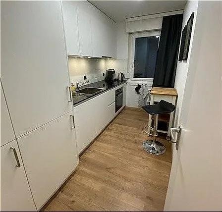 5½ ZI-WOHNUNG IN VOLKETSWIL (ZH), MÖBLIERT – photo 4 of 20