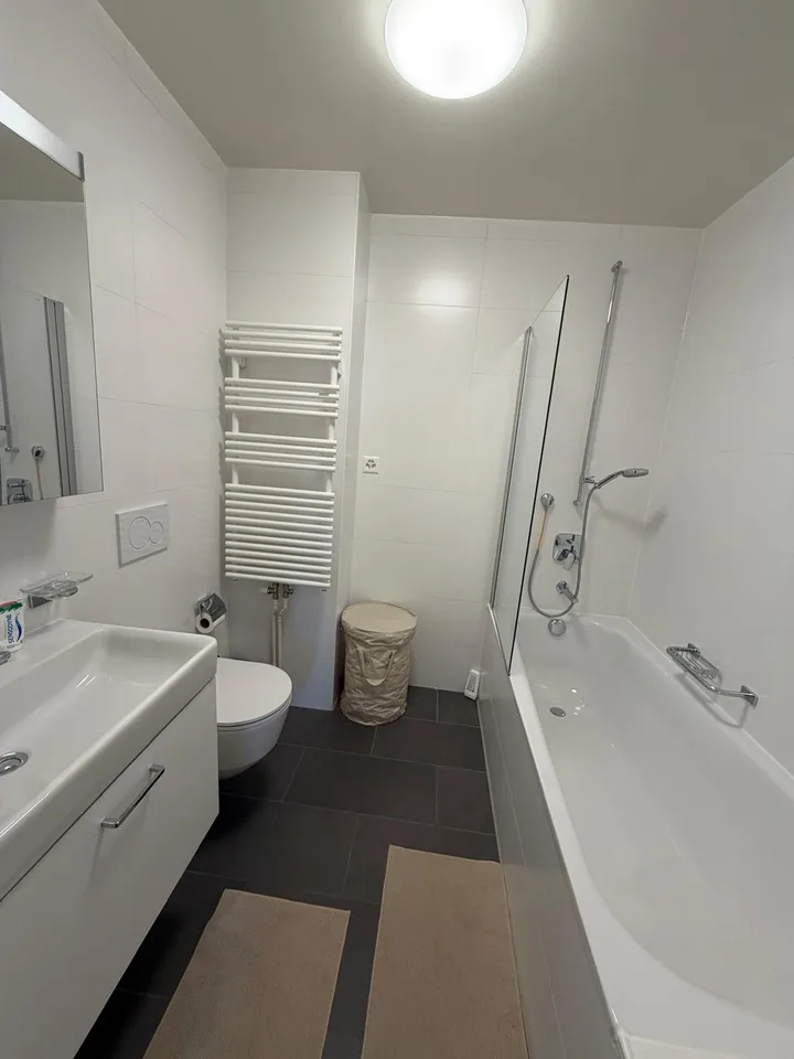 Superbe appartement classique vieille ville Genève – photo 25 sur 28