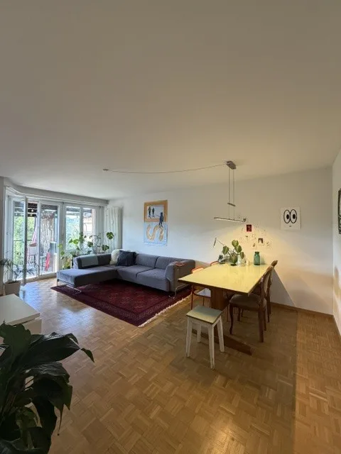 Helle 3-Zimmer-Wohnung mit Balkon und schöner Aussicht in Solothurn