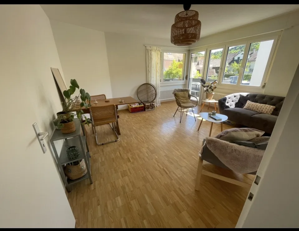 3 Zimmer Wohnung Zürich