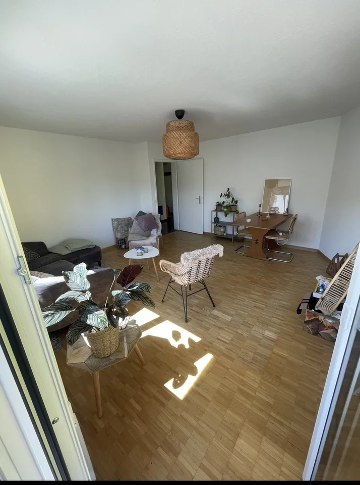 3 Zimmer Wohnung Zürich