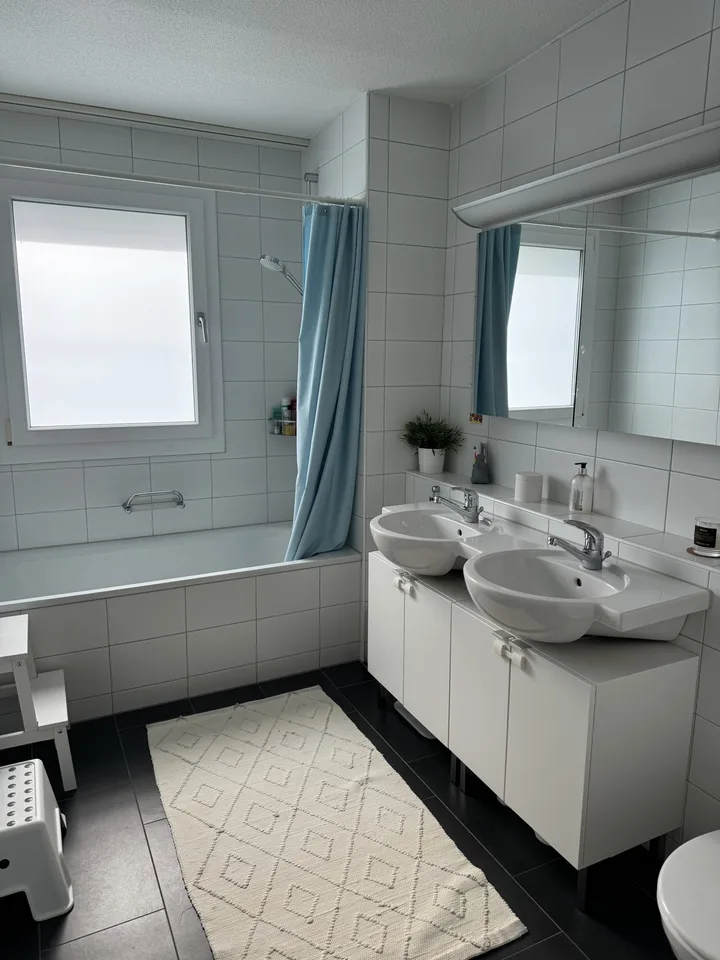 Exklusive 5.5-Zimmer-Attikawohnung mit 142 m2 Wohnfläche und 135 m2 Terrassenfläche in Arni AG
