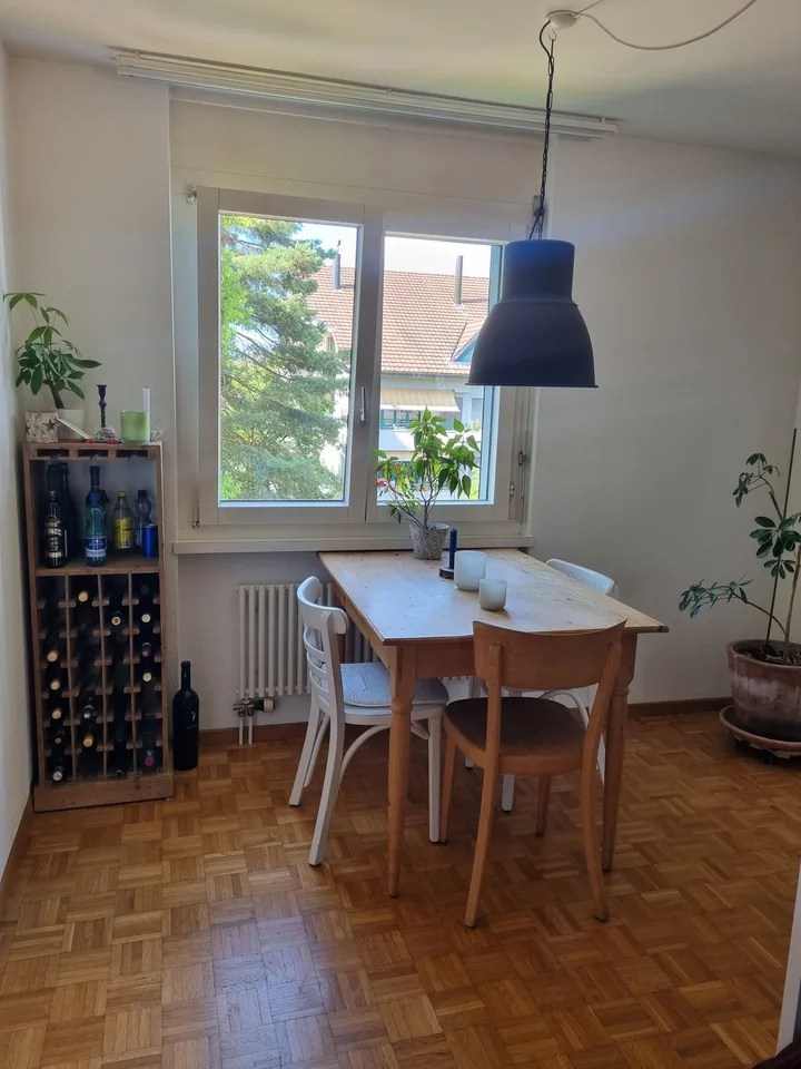 5.5 Zimmer Wohnung am Stadtrand