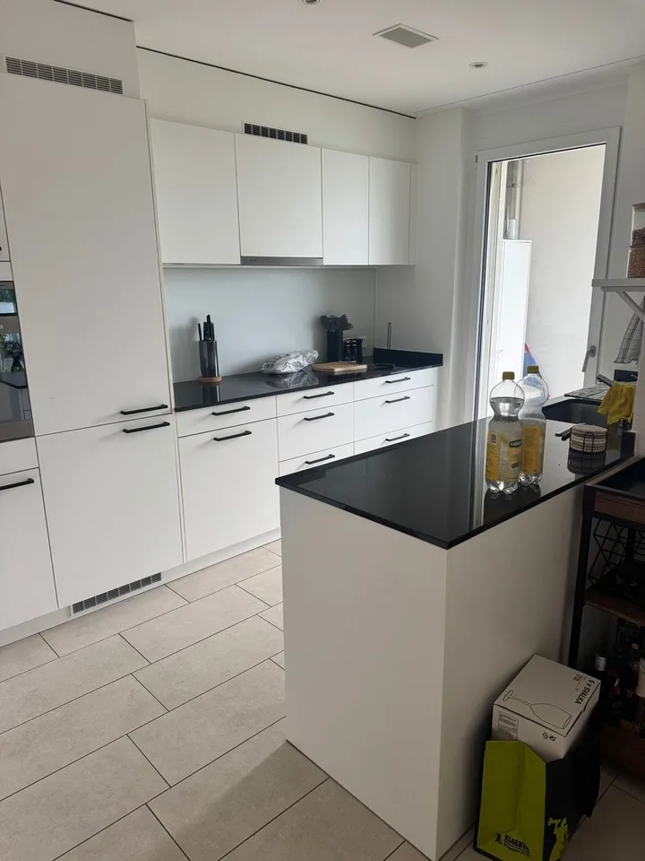 3½ ZI-WOHNUNG IN KLOTEN (ZH), MÖBLIERT, TEMPORÄR – foto 3 di 20