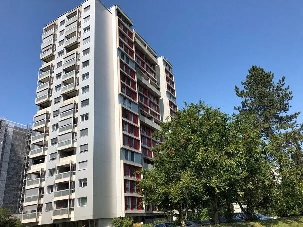 Schöne 4.5-Zimmer-Wohnung im Thoracker