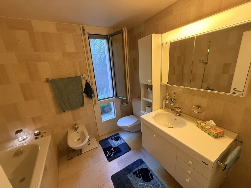 4½ ZI-WOHNUNG IN THUN (BE), MÖBLIERT, TEMPORÄR – Foto 8 von 19