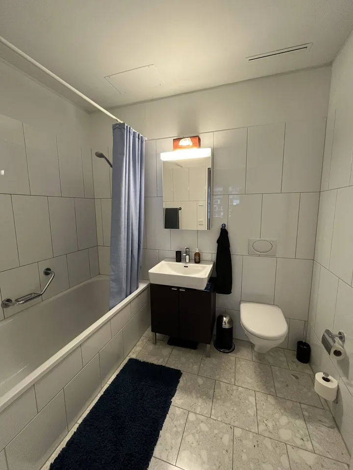 3½ ZI-WOHNUNG IN ZÜRICH - KREIS 5 ESCHER WYSS, MÖBLIERT, TEMPORÄR – Foto 9 von 16