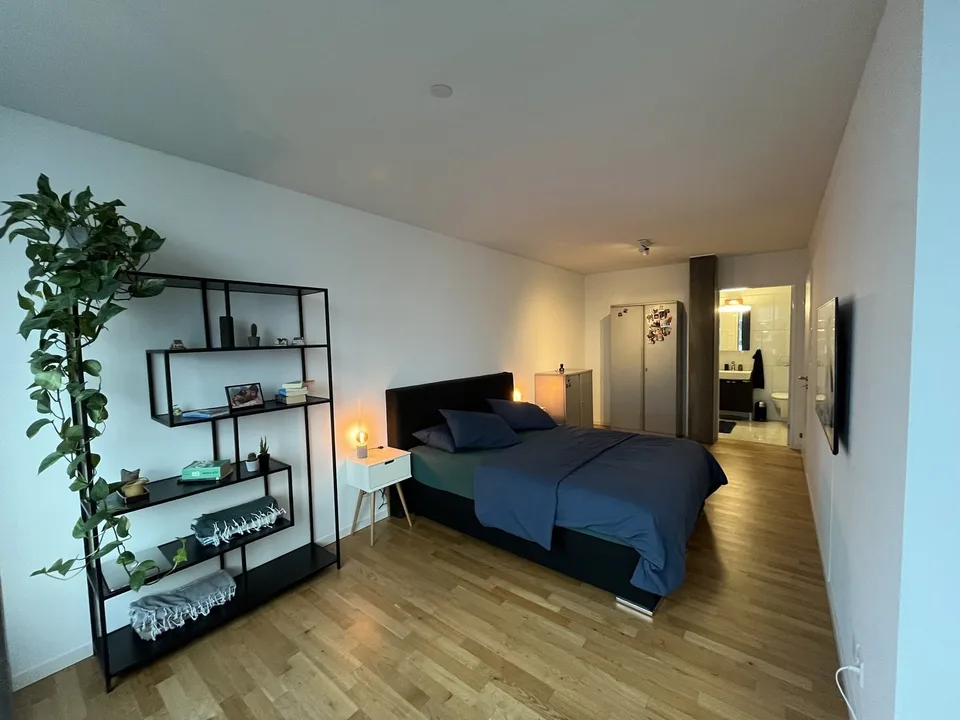 3½ ZI-WOHNUNG IN ZÜRICH - KREIS 5 ESCHER WYSS, MÖBLIERT, TEMPORÄR – Foto 5 von 16