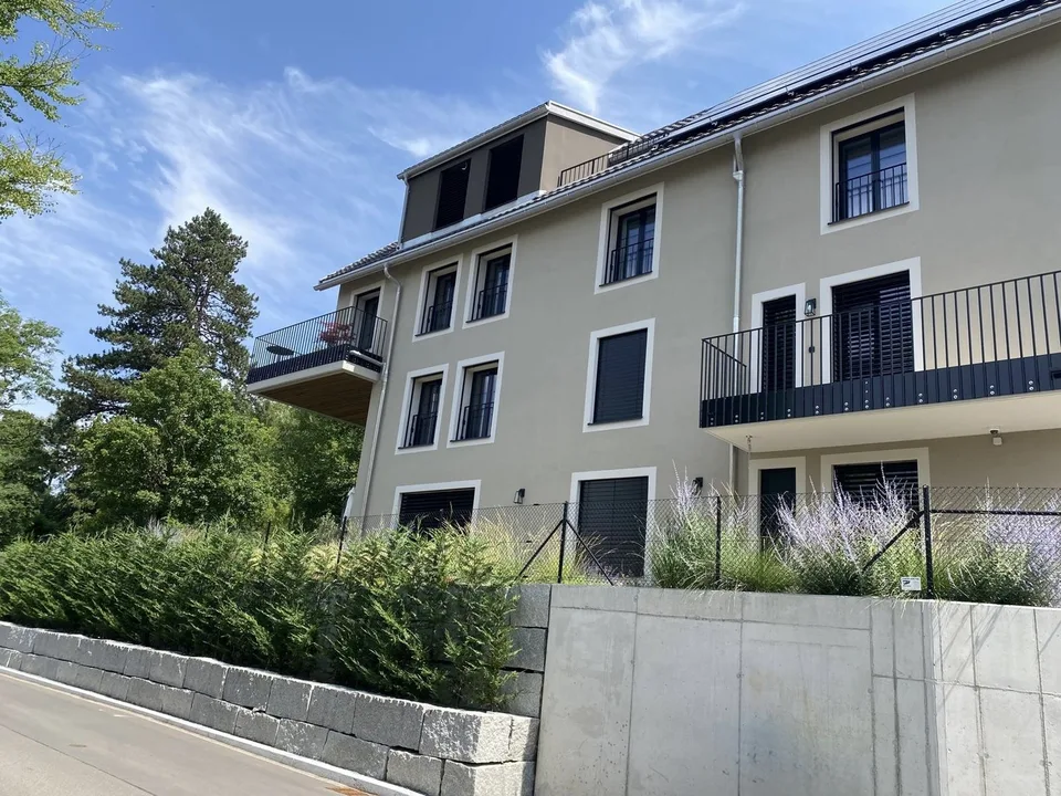 Exklusiver Attika-Komfort mit traumhafter Weitsicht über den Zürichsee