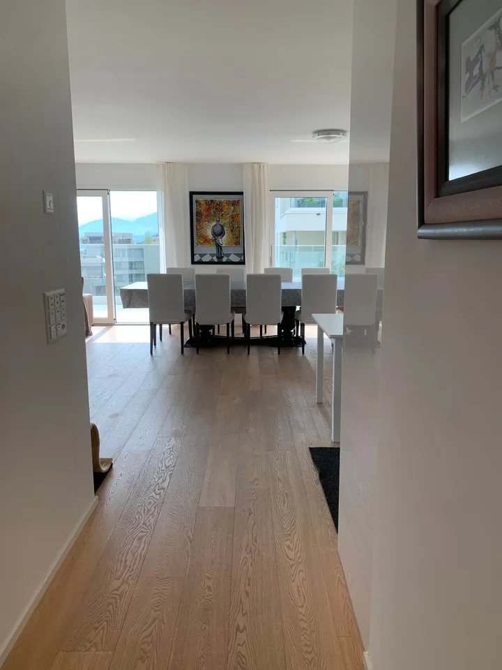 Executive lake-view residence, just minutes from Zug and Rotkreuz. Ideal for professionals relocating to Switzerland.