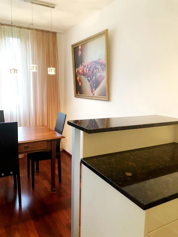 Beautiful Apartment by Zurich lake