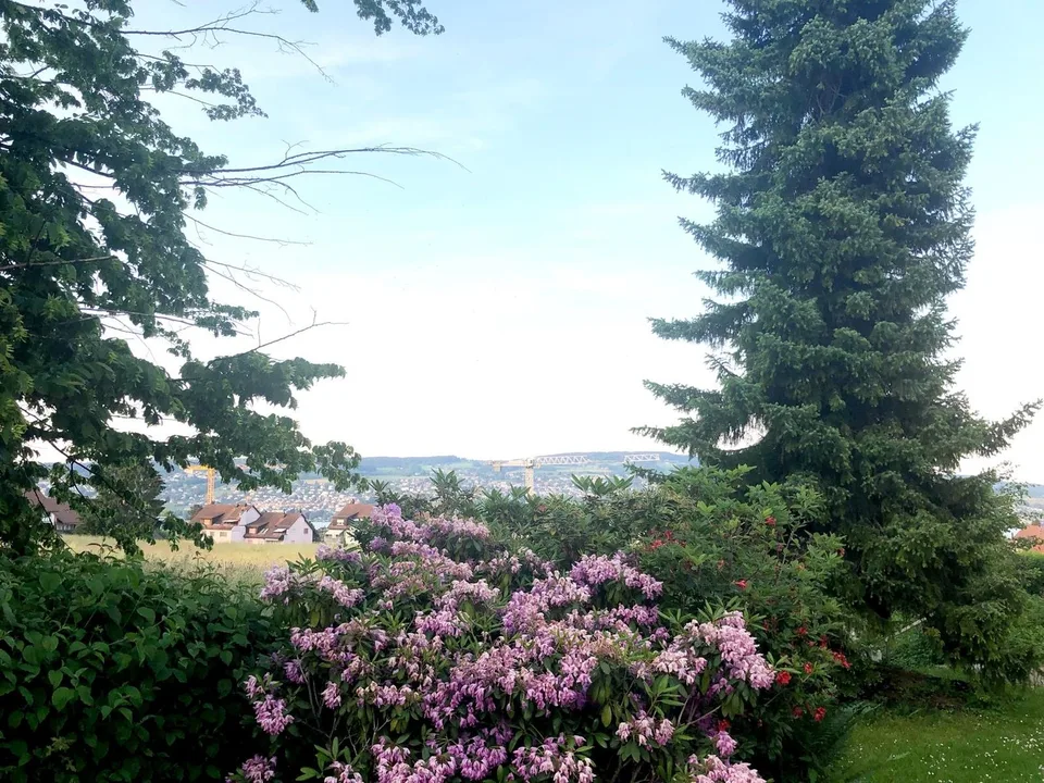 Beautiful Apartment by Zurich lake