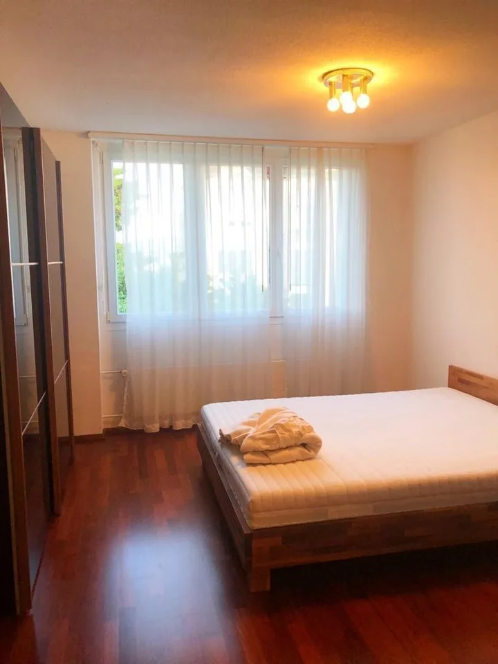 Beautiful Apartment by Zurich lake