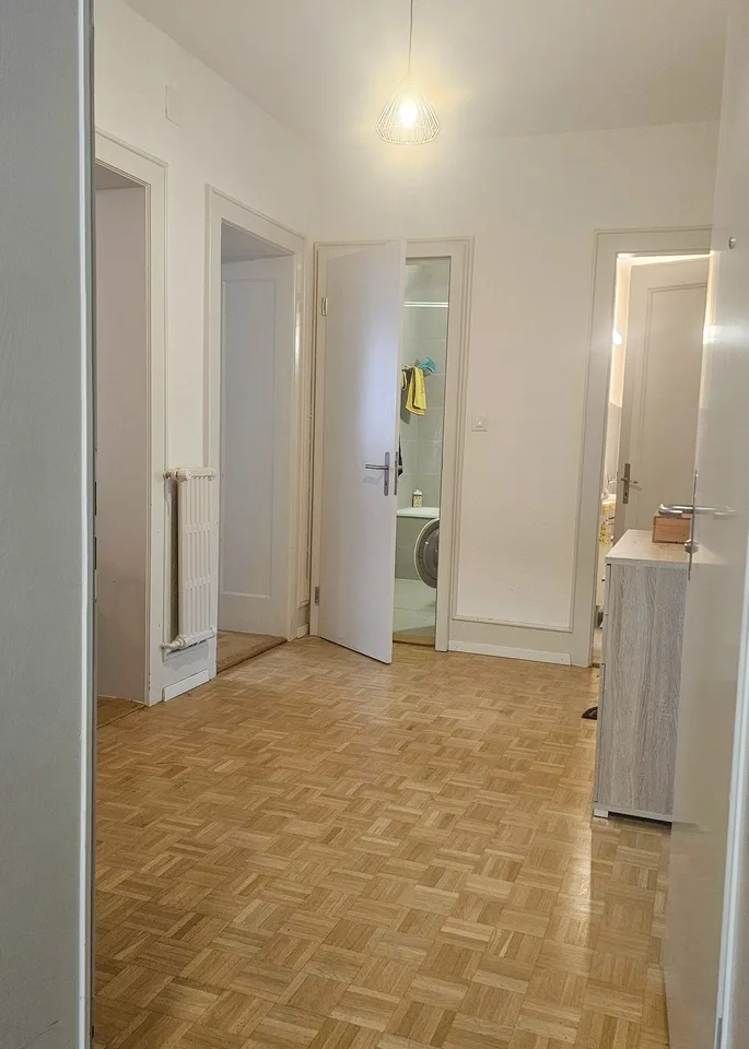 Bello appartamento spazioso ai Champs-Elysée friburghesi!