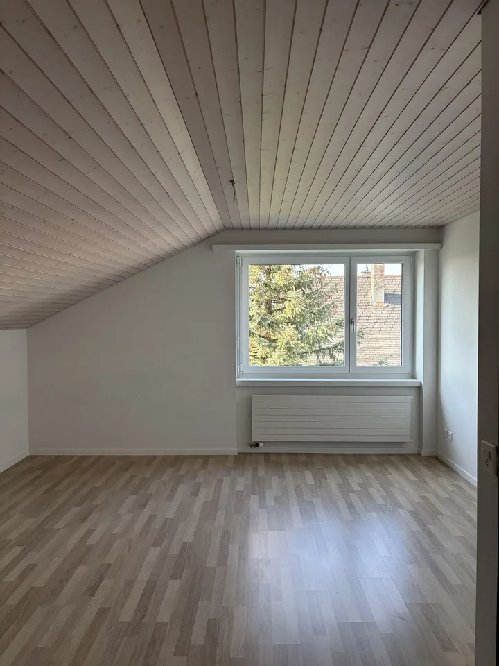 Frisch sanierte 5.5-Zimmer-Dachwohnung im schönen Schänis