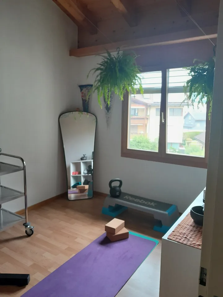 4.5-Zimmer-Attikawohnung mit Galerie & zwei Balkonen in Bonaduz