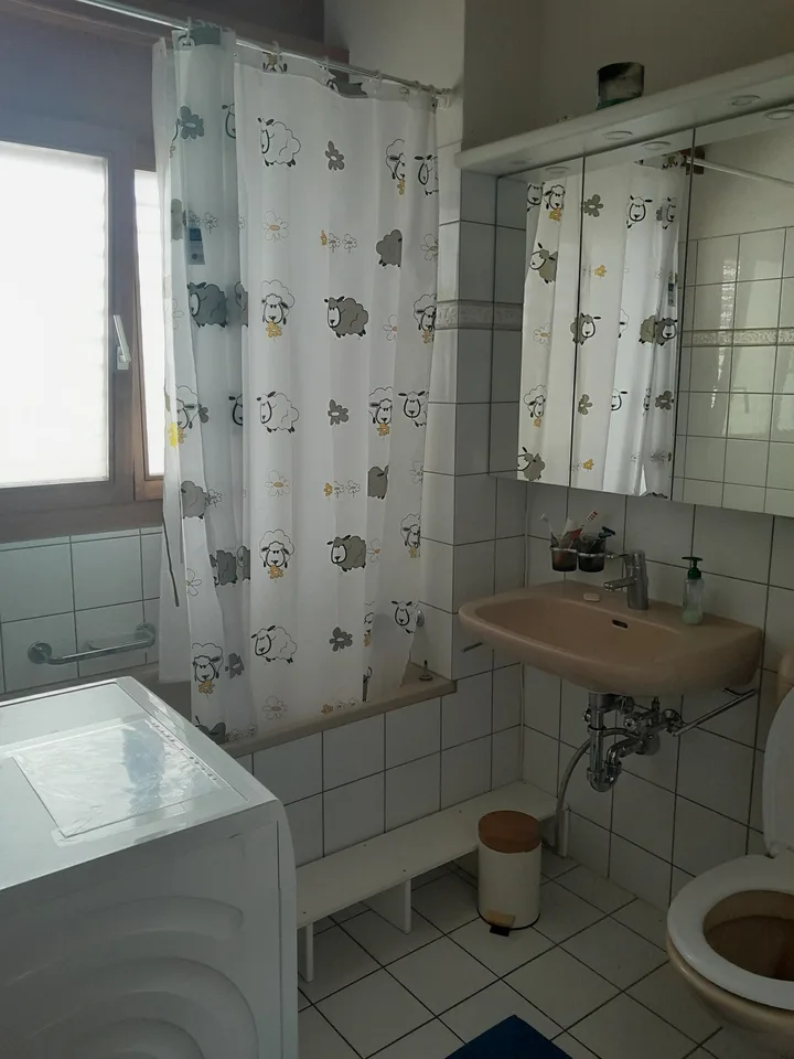 4.5-Zimmer-Attikawohnung mit Galerie & zwei Balkonen in Bonaduz