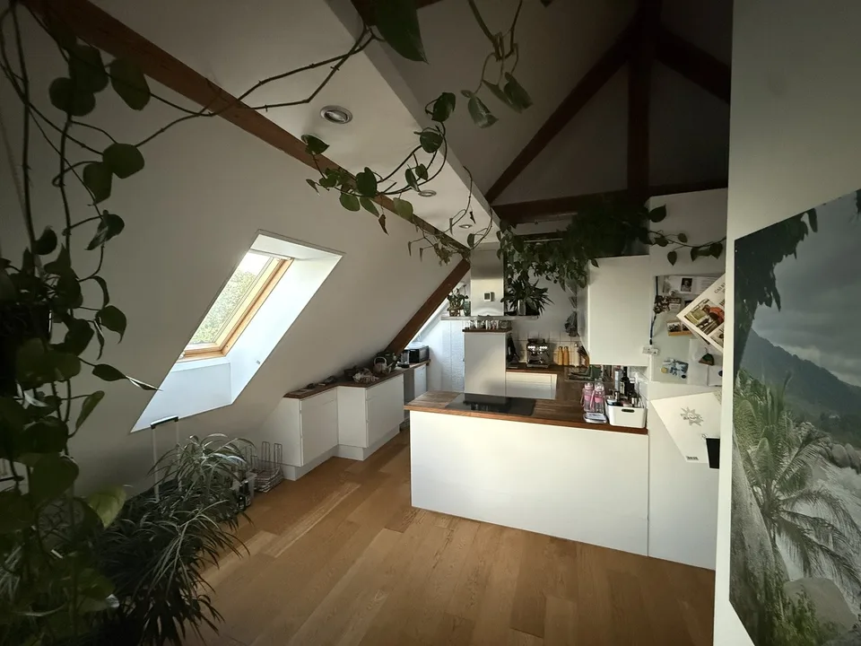 3½ ZI-WOHNUNG IN SOLOTHURN, MÖBLIERT, TEMPORÄR – Foto 3 von 16