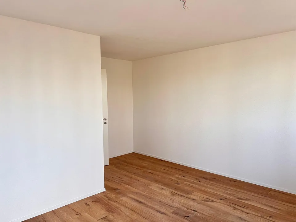 Nuova Costruzione Prima Occupazione - Casa a Schiera di Alta Qualità con 6 Camere e Giardino – foto 6 di 8