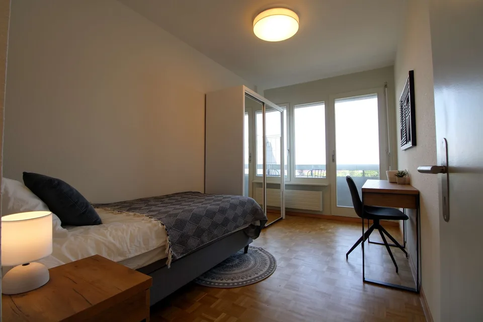 Spacious Coliving with International Connections in Le Grand-Saconnex
