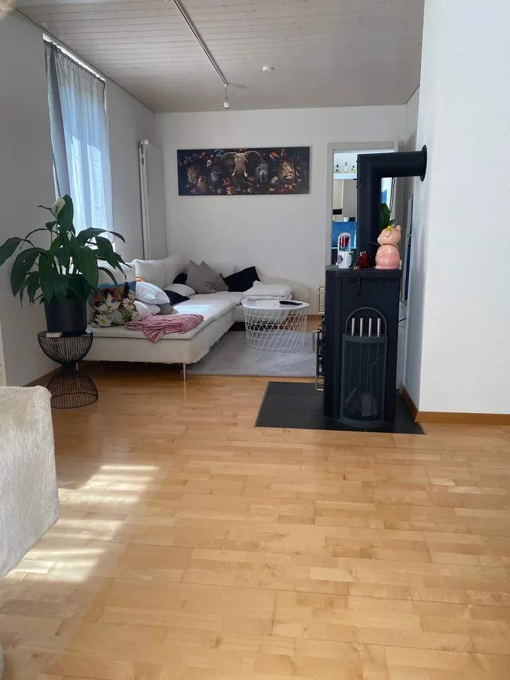 Wohnen an der Aare