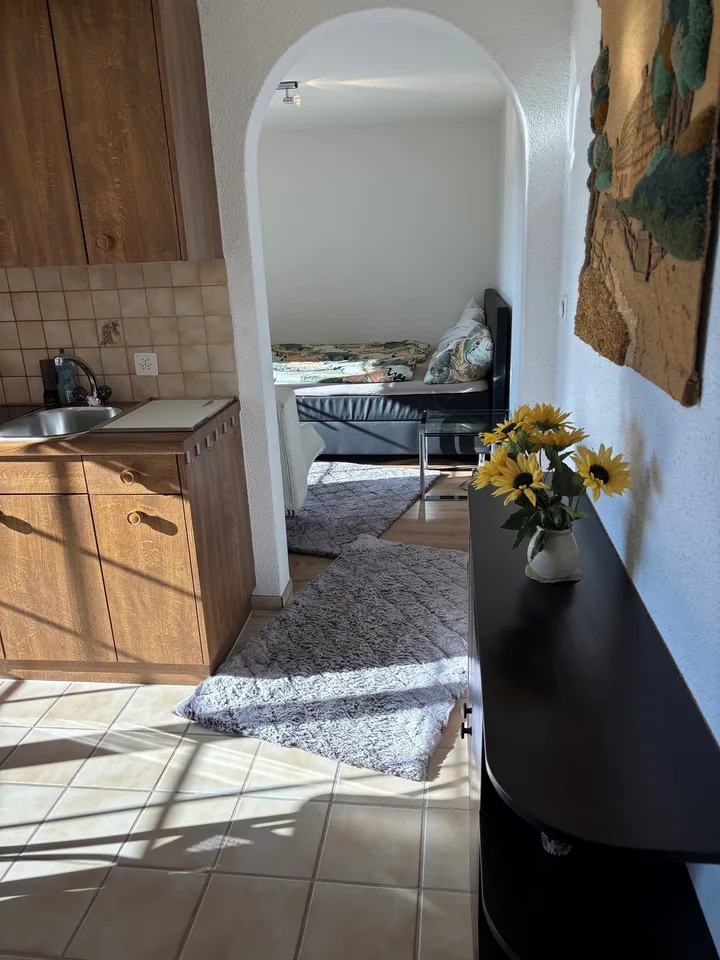 ruhig gelegene 1.5 Zimmer Wohnung zu verkaufen
