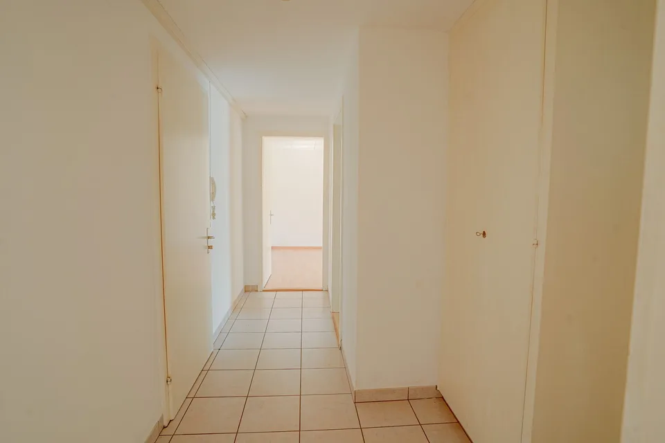 Helle 2.5-Zi-Wohnung mit grossem überdachtem Balkon — Riedern (GL)